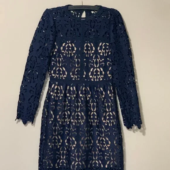Zara lace embroidered dress